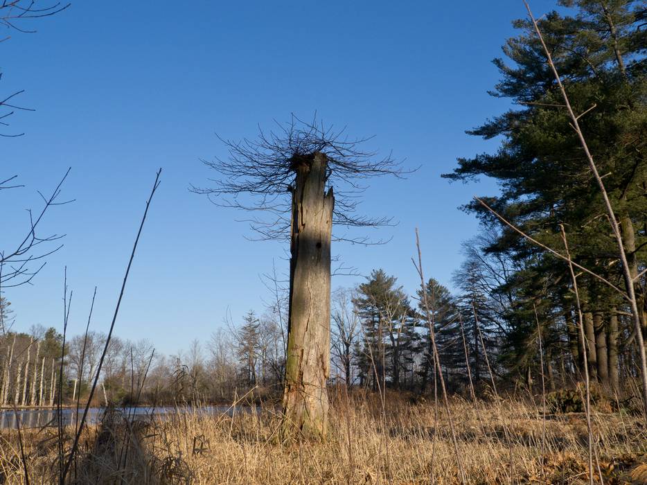 Feb. 1, 2012 - Appleton Farms, Ipswich, Massachusetts.