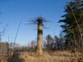 Feb. 1, 2012 - Appleton Farms, Ipswich, Massachusetts.