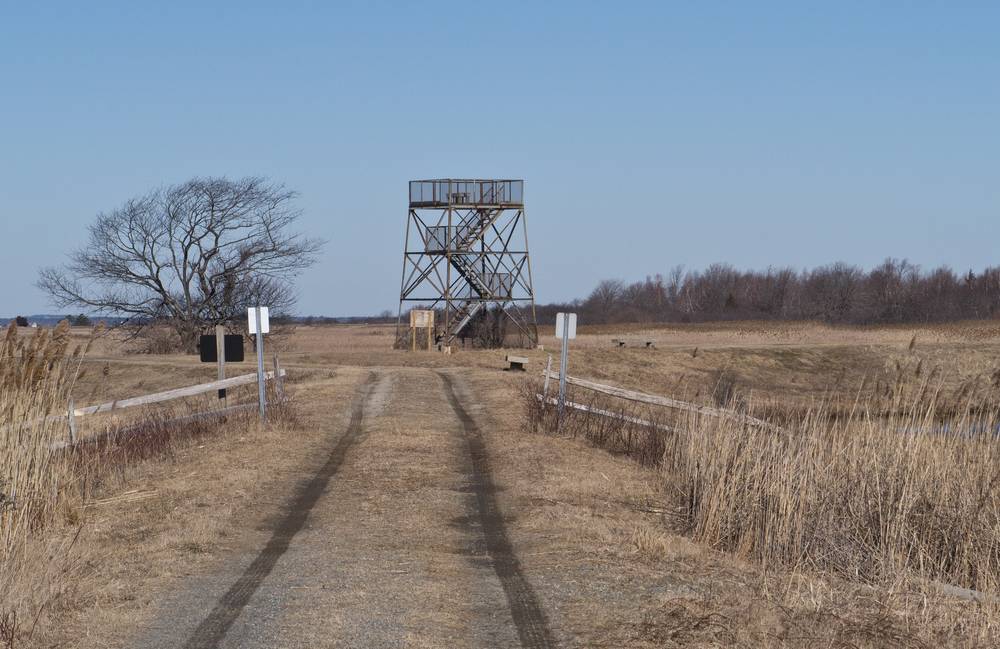 Feb. 9, 2012 - Parker River National Wildlife Refuge, Plum Island, Massachusetts.