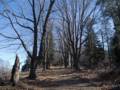 Feb. 26, 2012 - Maudslay State Park, Newburyport, Massachusetts
