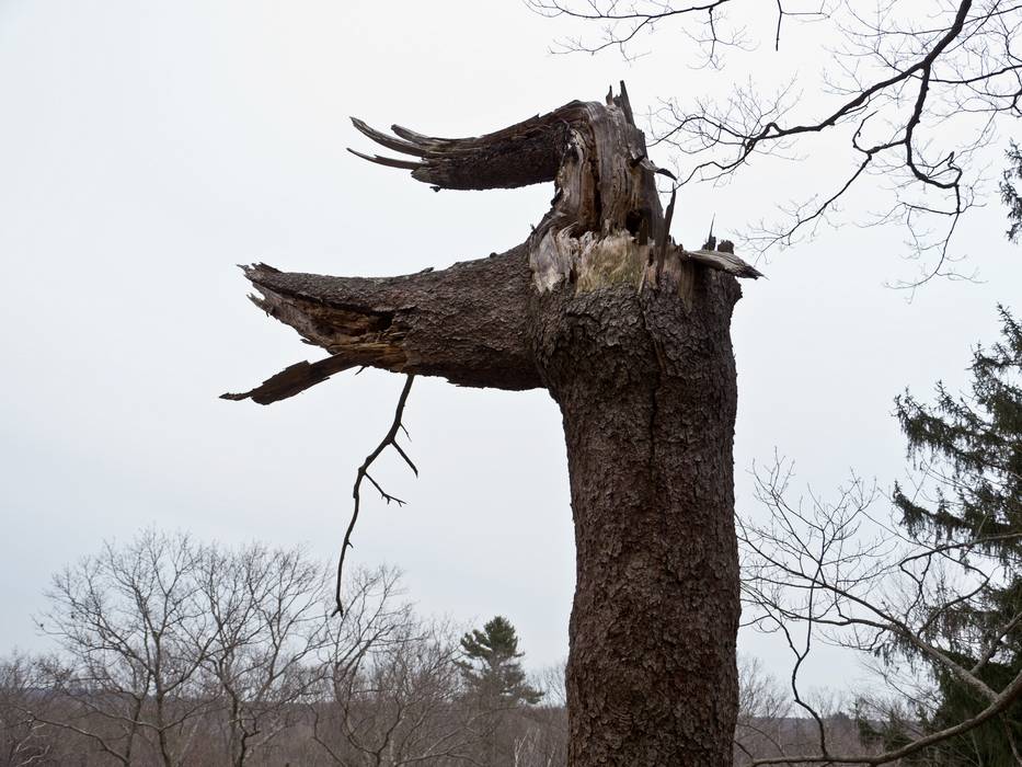 Feb. 27, 2012 - Maudslay State Park, Newburyport, Massachusetts.