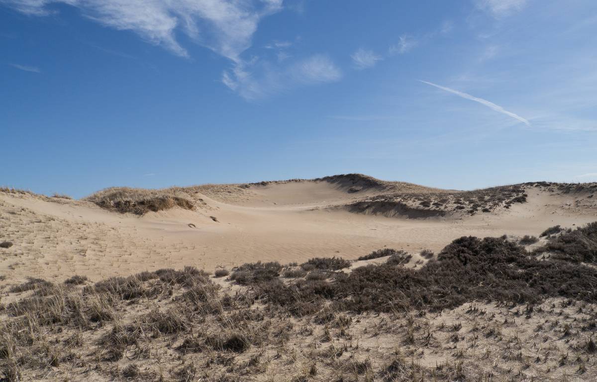 Dunes off boardwalk off parking lot # 3.<br />March 23, 2012 - Parker River National Wildlife Refuge, Plum Island, Massachusetts.