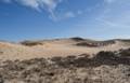 Dunes off boardwalk off parking lot # 3.<br />March 23, 2012 - Parker River National Wildlife Refuge, Plum Island, Massachusetts.