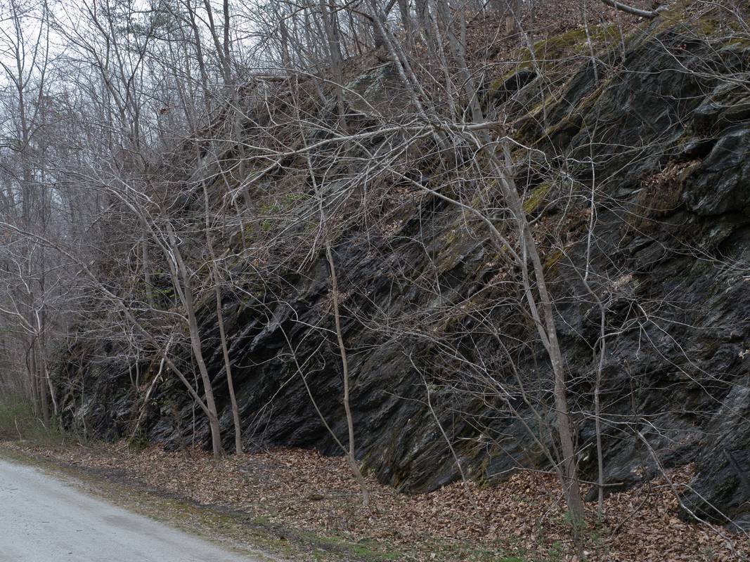 March 16, 2012 - Northern Central Railroad Trail, Monkton, Maryland.
