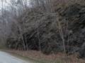 March 16, 2012 - Northern Central Railroad Trail, Monkton, Maryland.
