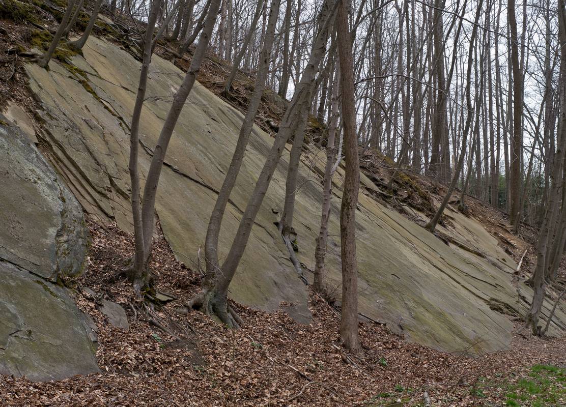 March 16, 2012 - Northern Central Railroad Trail, Monkton, Maryland.