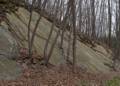 March 16, 2012 - Northern Central Railroad Trail, Monkton, Maryland.