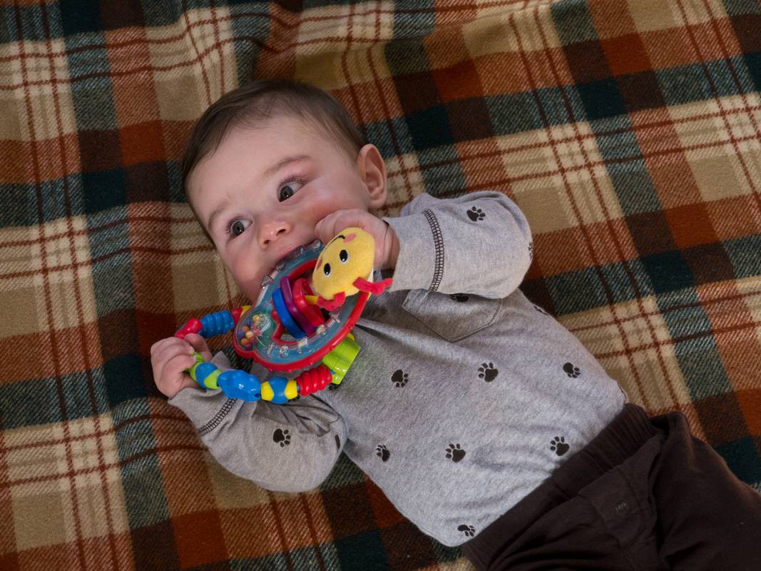 Edgar.<br />March 17, 2012 - At Ronnie and Baiba's in Baltimore, Maryland.