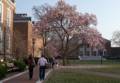 The whole gang.<br />Johns Hopkins Univeristy.<br />March 17, 2012 - Baltimore, Maryland.