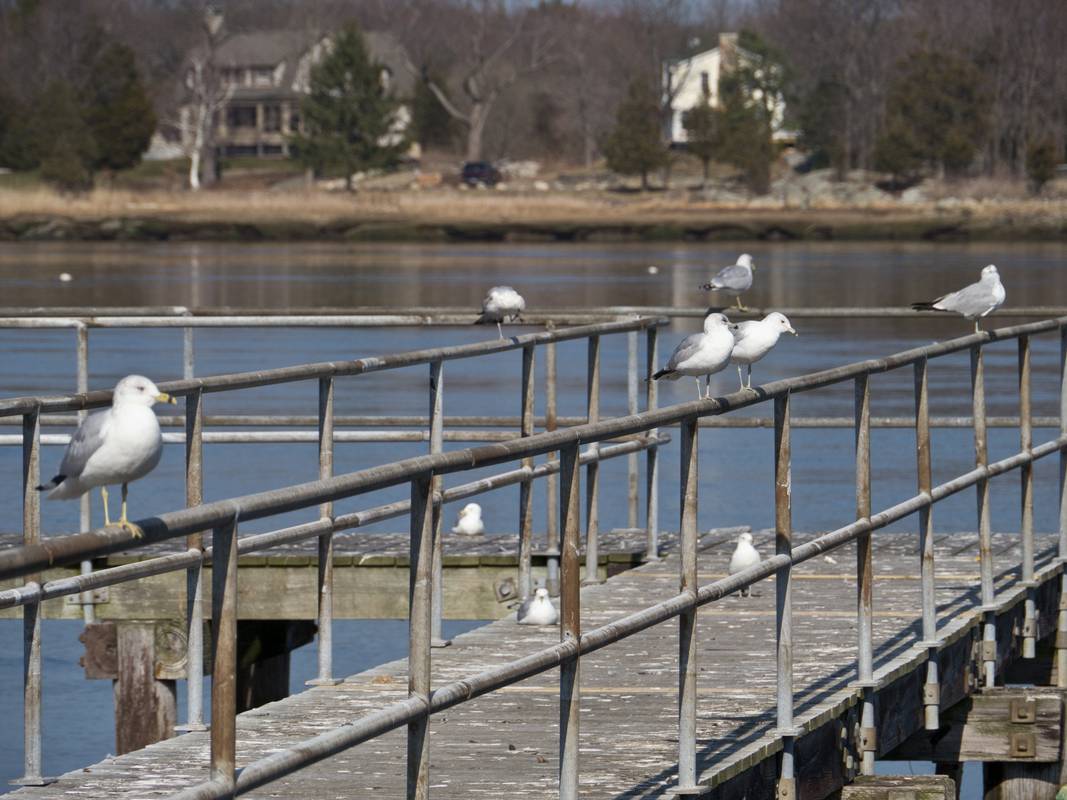 Cashman Park.<br />March 20, 2012 - Newburyport, Massachusetts.