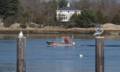 Cashman Park.<br />March 20, 2012 - Newburyport, Massachusetts.