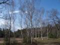 April 11, 2012 - Maudslay State Park, Newburyport, Massachusetts.