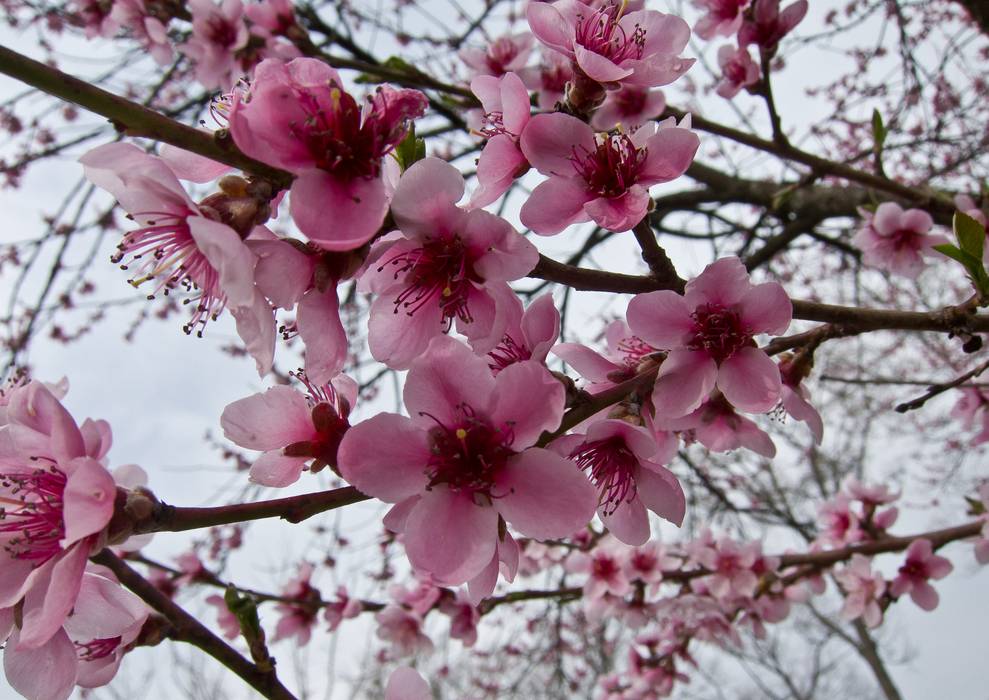 April 14, 2012 - Andover, Massachusetts