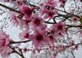April 14, 2012 - Andover, Massachusetts
