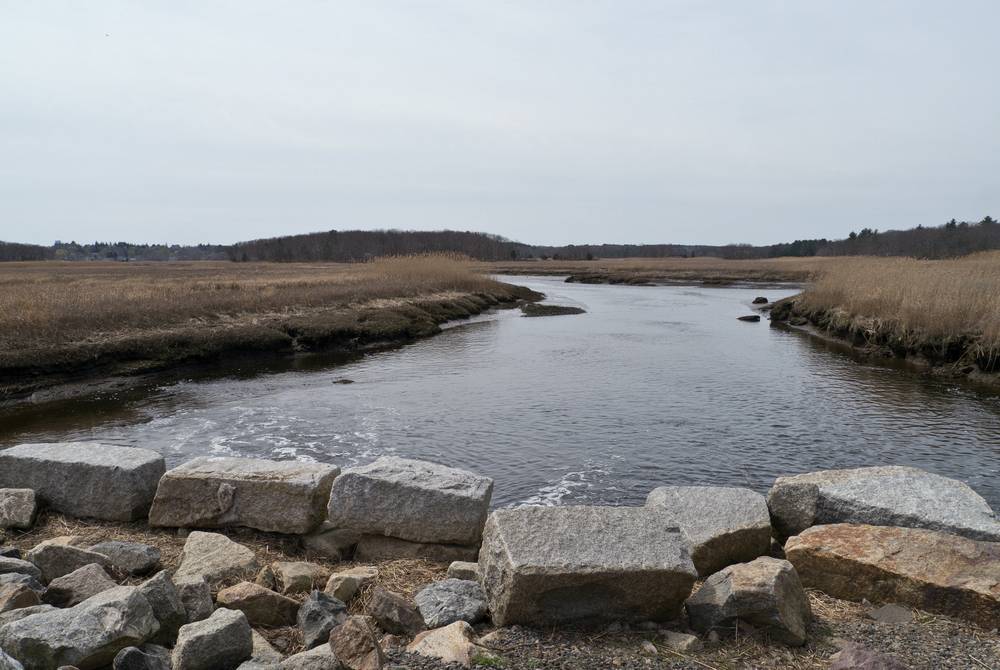 Along Old Eastern Marsh Trail.<br />April 15, 2012 - Salisbury, Massachusetts.