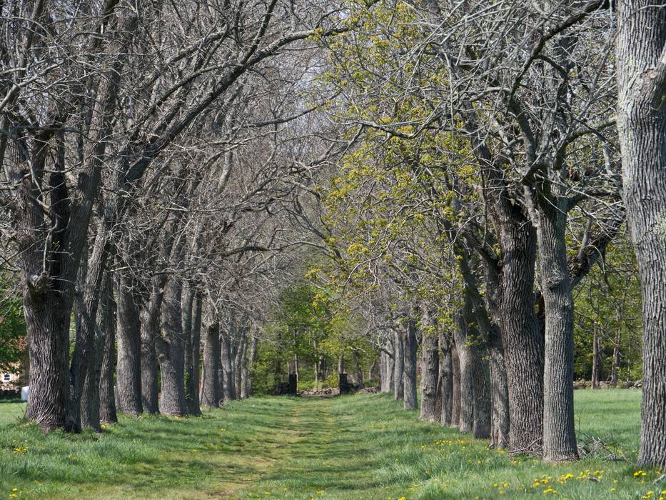 April 21, 2012 - Appleton Farms in Ipswich, Massachusetts.