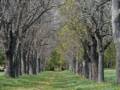 April 21, 2012 - Appleton Farms in Ipswich, Massachusetts.