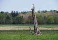 April 21, 2012 - Appleton Farms in Ipswich, Massachusetts.