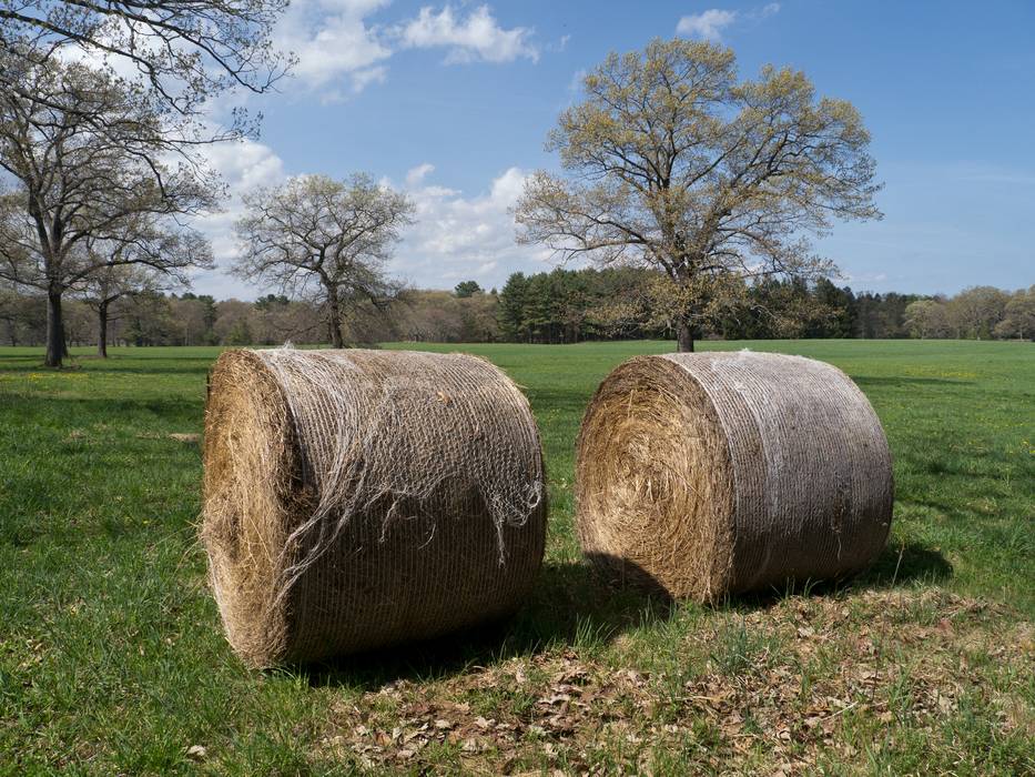April 21, 2012 - Appleton Farms in Ipswich, Massachusetts.