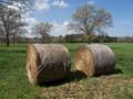 April 21, 2012 - Appleton Farms in Ipswich, Massachusetts.