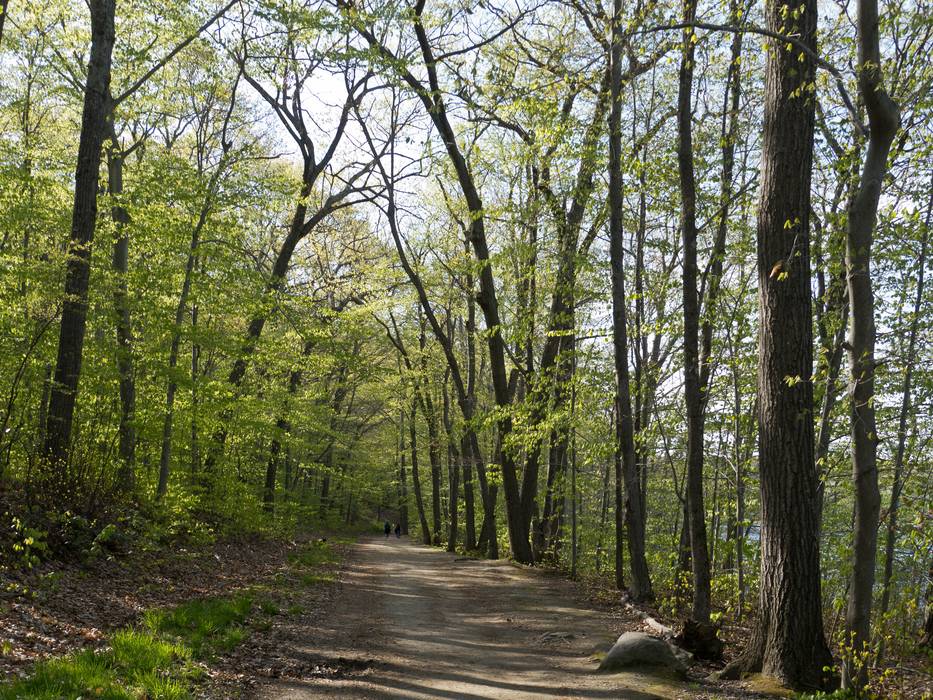 The Dudley Porter Trail.<br />April 28, 2012 - Winnekenni Park, Haverhill, Massachusetts.