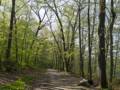 The Dudley Porter Trail.<br />April 28, 2012 - Winnekenni Park, Haverhill, Massachusetts.