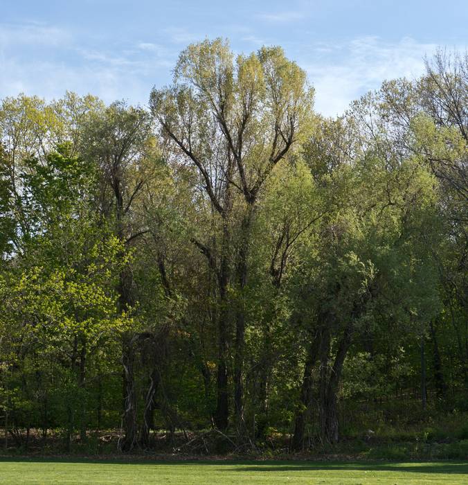 April 28, 2012 - Winnekenni Park, Haverhill, Massachusetts.