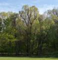 April 28, 2012 - Winnekenni Park, Haverhill, Massachusetts.