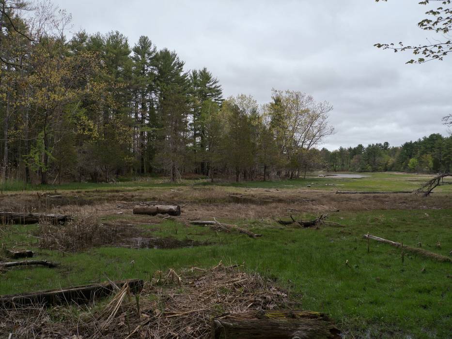 May 2, 2012 - Great Bay National Wildlife Refuge, Newington, New Hampshire.