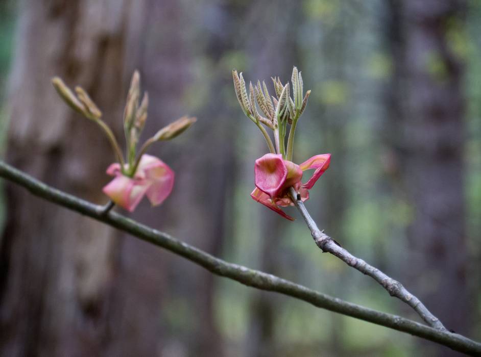 May 2, 2012 - Great Bay National Wildlife Refuge, Newington, New Hampshire.