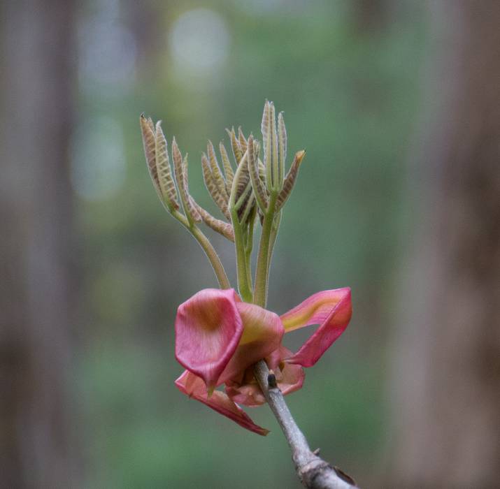 May 2, 2012 - Great Bay National Wildlife Refuge, Newington, New Hampshire.