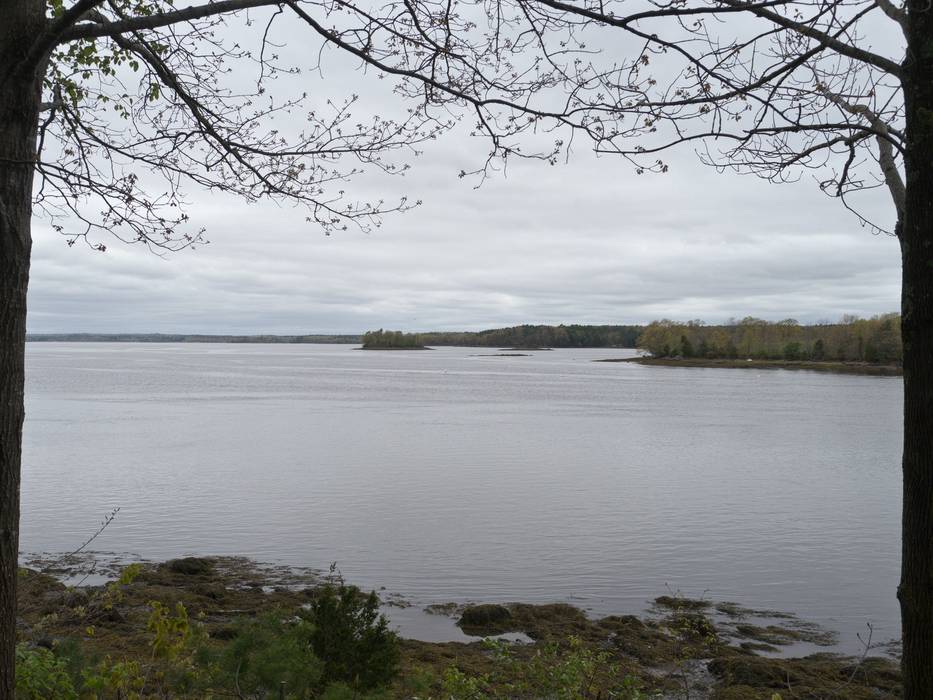 May 2, 2012 - Great Bay National Wildlife Refuge, Newington, New Hampshire.