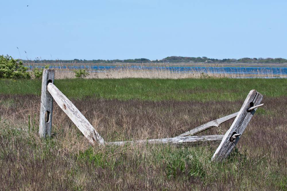 Parker River National Wildlife Refuge.<br />May 7, 2012 - Nelson Island, Rowley, Massachusetts