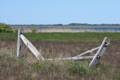 Parker River National Wildlife Refuge.<br />May 7, 2012 - Nelson Island, Rowley, Massachusetts