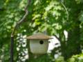 Ceramic birdhouse made by Lisa Mistretta.<br />A wedding anniversary gift to ourselves.<br />May 13, 2012 - Merrimac, Massachusetts.
