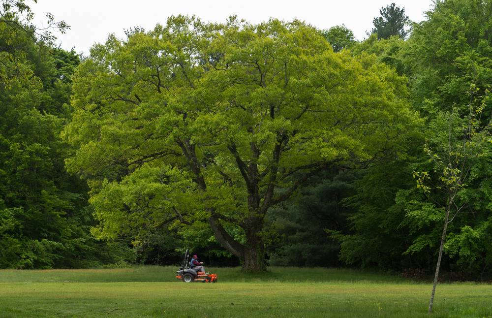 May 14, 2012 - Maudslay State Park, Newburyport, Massachusetts.
