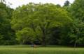 May 14, 2012 - Maudslay State Park, Newburyport, Massachusetts.