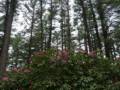 May 14, 2012 - Maudslay State Park, Newburyport, Massachusetts.