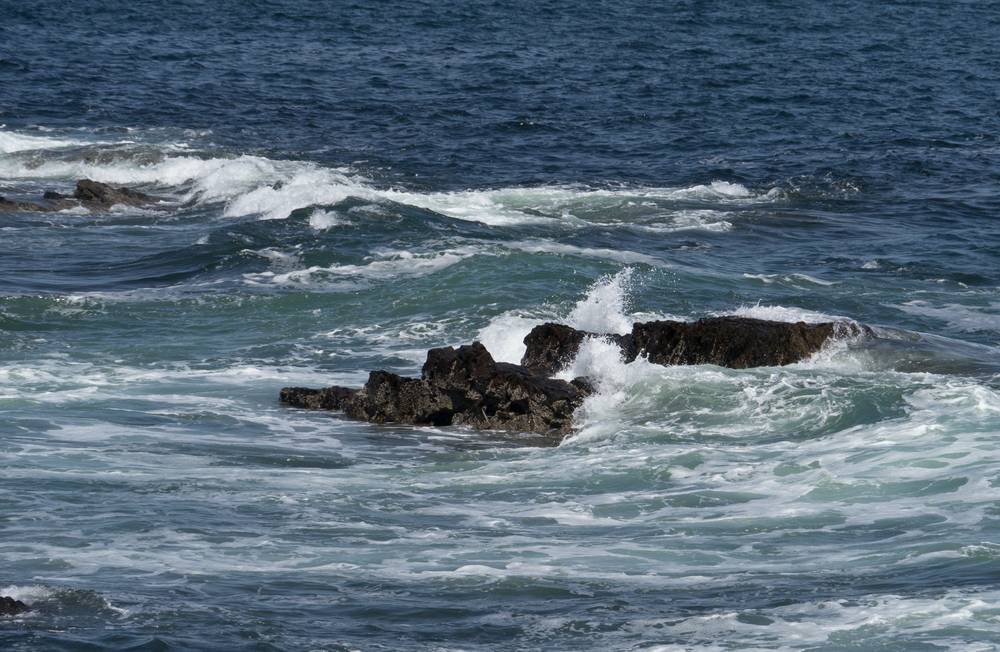 Views along Marginal Way.<br />May 20, 2012 - Ogunquit, Maine.