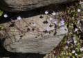 May 20, 2012 - Ogunquit, Maine.