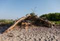 June 21, 2012 - Sandy Point State Reservation, Plum Island, Massachusetts.