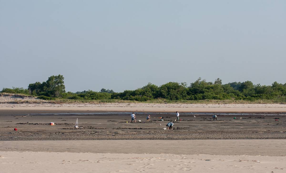 Digging for clams.<br />June 21, 2012 - Sandy Point State Reservation, Plum Island, Massachusetts.