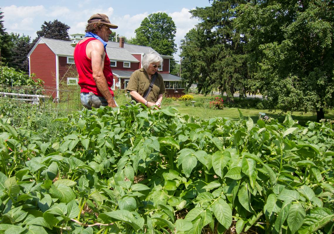 Farmer Paul and Joyce.<br />June 21, 2012 - At Paul and Norma's in Tewksbury, Massachusetts.