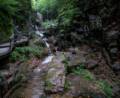 Ronnie in the Gorge.<br />The sign on the bridge says 'Avalanche Falls'.<br />July 26, 2012 - At The Flume in Franconia Notch, New Hampshire.