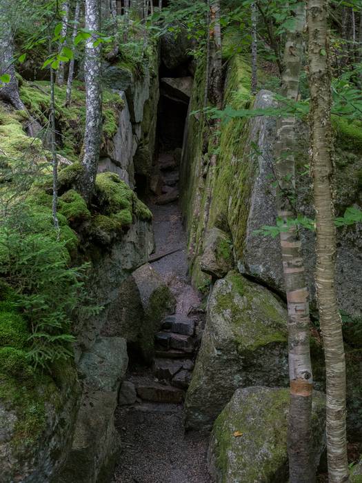 Wolf's den?<br />July 26, 2012 - At The Flume in Franconia Notch, New Hampshire.