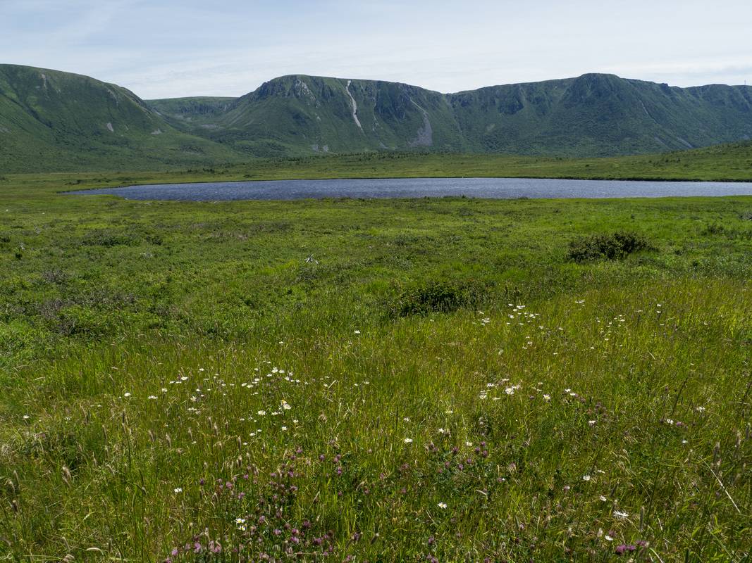 Table Mountain?<br />View East off parking lot at 47 42 31 N, 59 18 28 W.<br />July 6, 2012 - Off Trans Canada Highway 1, Newfoundland, Canada