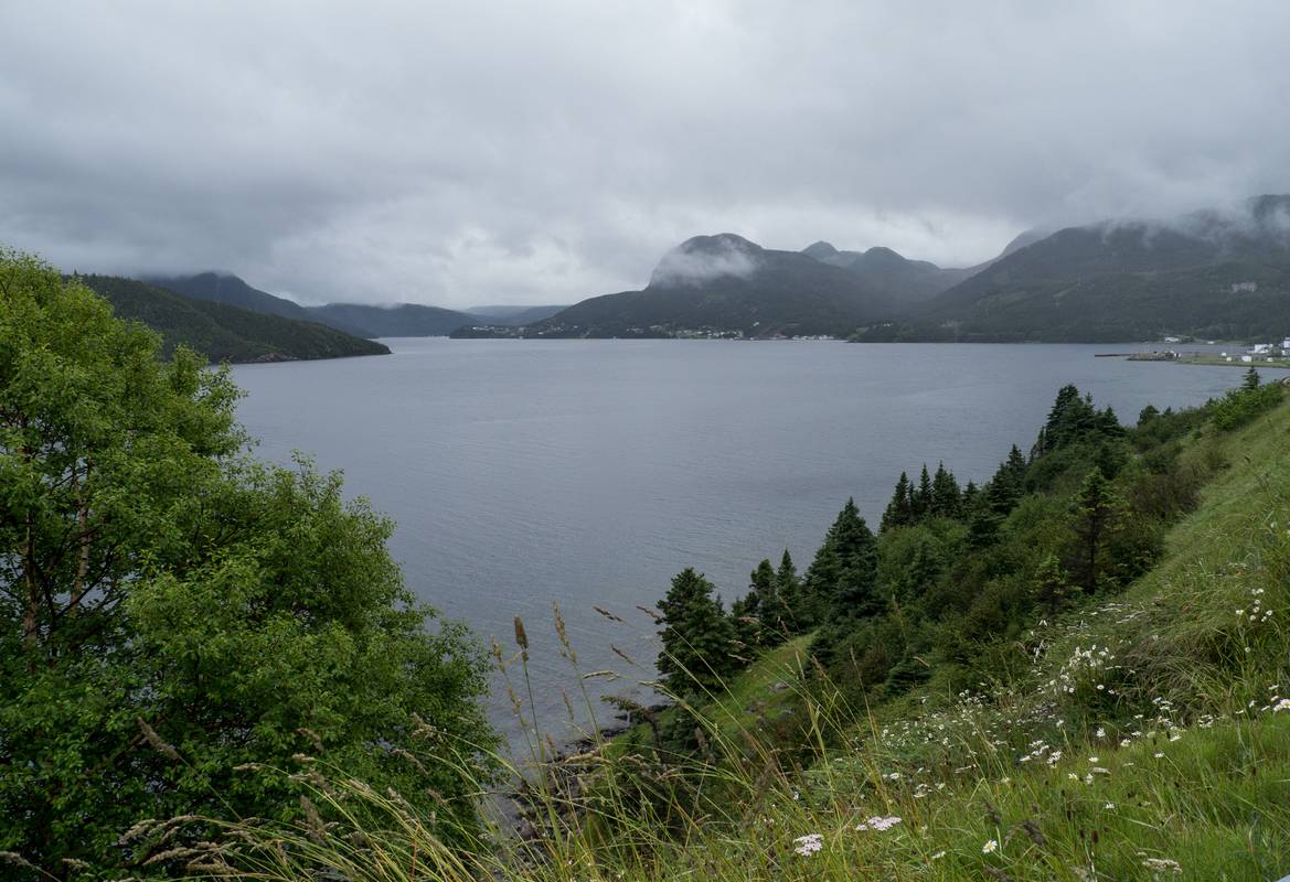 July 7, 2012 - South Arm of Bonne Bay, Newfoundland, Canada.