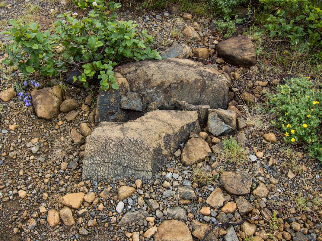 Tablelands hike.<br />July 7, 2012 - Gros Morne National Park, Newfoundland, Canada.
