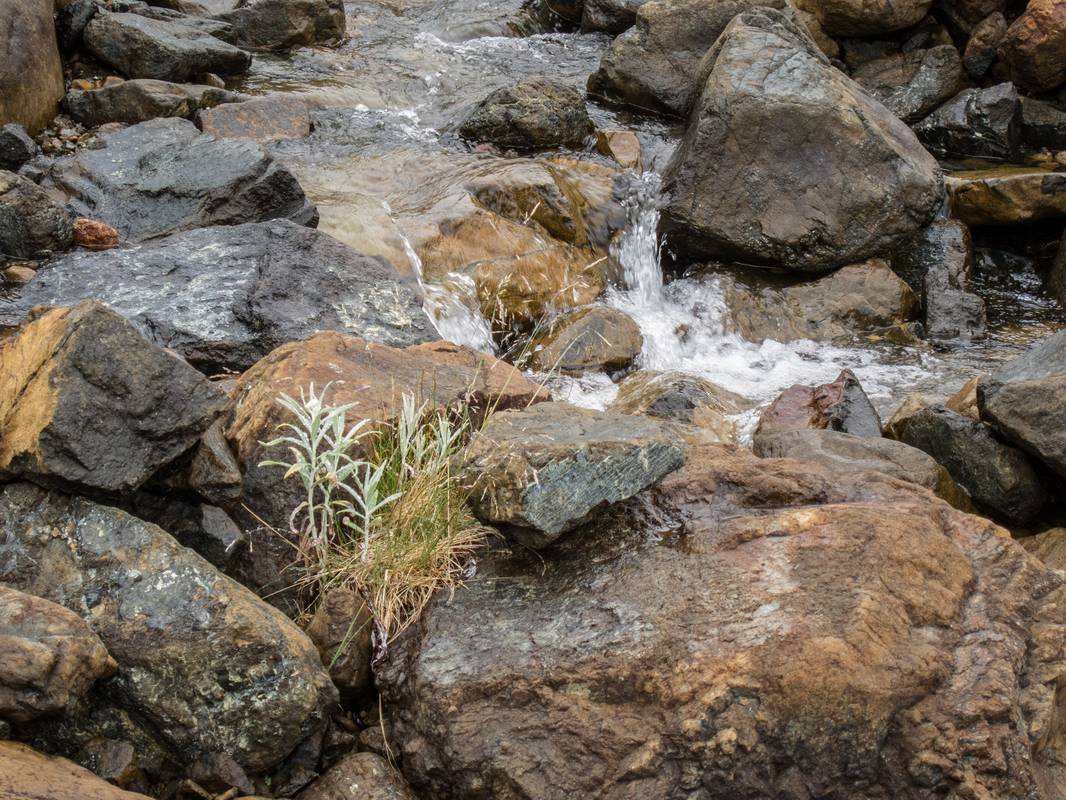 Tablelands hike.<br />July 7, 2012 - Gros Morne National Park, Newfoundland, Canada.