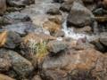 Tablelands hike.<br />July 7, 2012 - Gros Morne National Park, Newfoundland, Canada.
